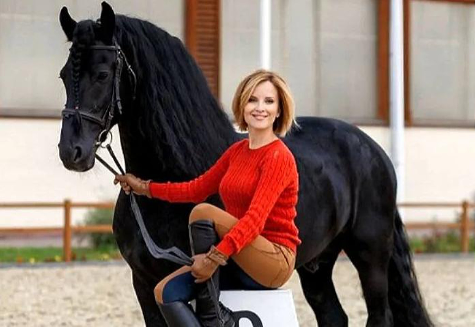 Ирина Лосик: «Достижение мастерства в работе с лошадью занимает больше времени, чем в танцах на паркете»